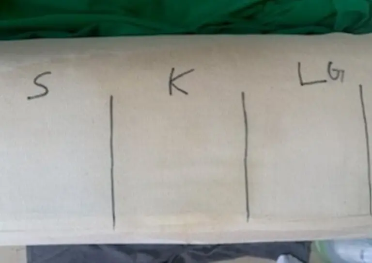 Kärcher Shark Little Green Kaffeefleck nach Test im Vergleich